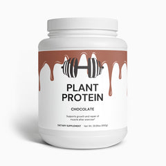 Chocolate Plant Protein – Delicious & Dairy-Free Nutrition