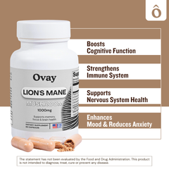 Lion’s Mane Mushroom Capsules – Brain, Memory & Focus Support