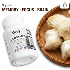Lion’s Mane Mushroom Capsules – Brain, Memory & Focus Support