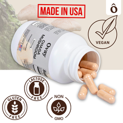 Chaga Mushroom Capsules – Immune & Antioxidant Boost