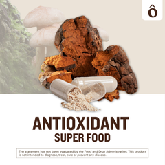 Chaga Mushroom Capsules – Immune & Antioxidant Boost