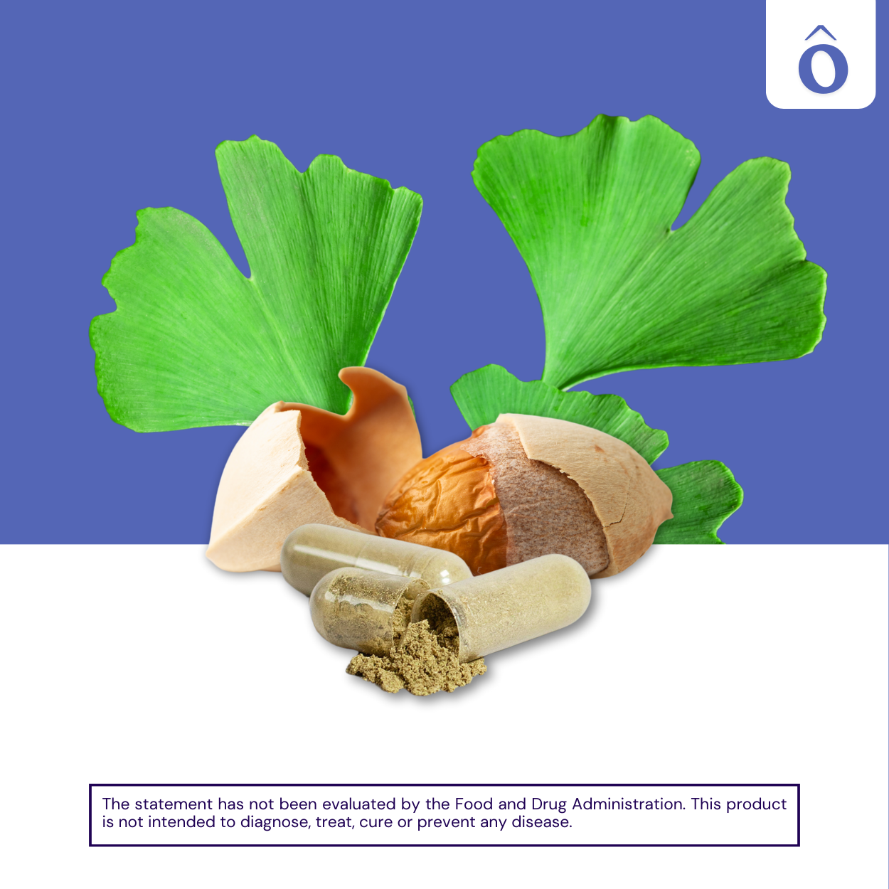 Ginkgo Biloba + Ginseng – Brain Boost & Energy Support